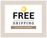 Can Coolers – Foam Collapsible Insulated Sleeves for Beer, Soda and Water Bottles Vinyl Blanks for, Parties and Wedding Favors