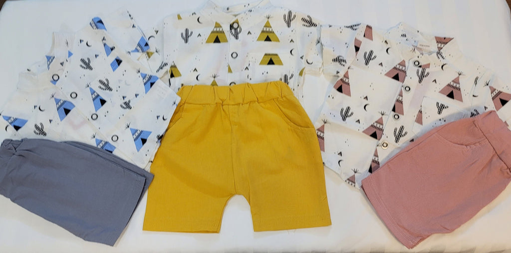 2pcs toddler boy shirt and short set cactus print casual boys set baby boy short sleeve shirt trendy style baby coming home outfit.jpg