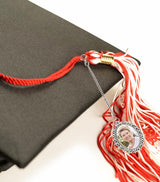 Graduation Cap Photo Charm Set 4 Pcs Oval Sublimation Tassel Charms for Class of 2025, DIY Picture Keepsake for Gown, Ceremony